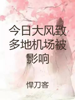 今日大风致多地机场被影响