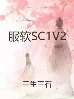 服软SC1V2