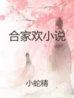 合家欢小说封面
